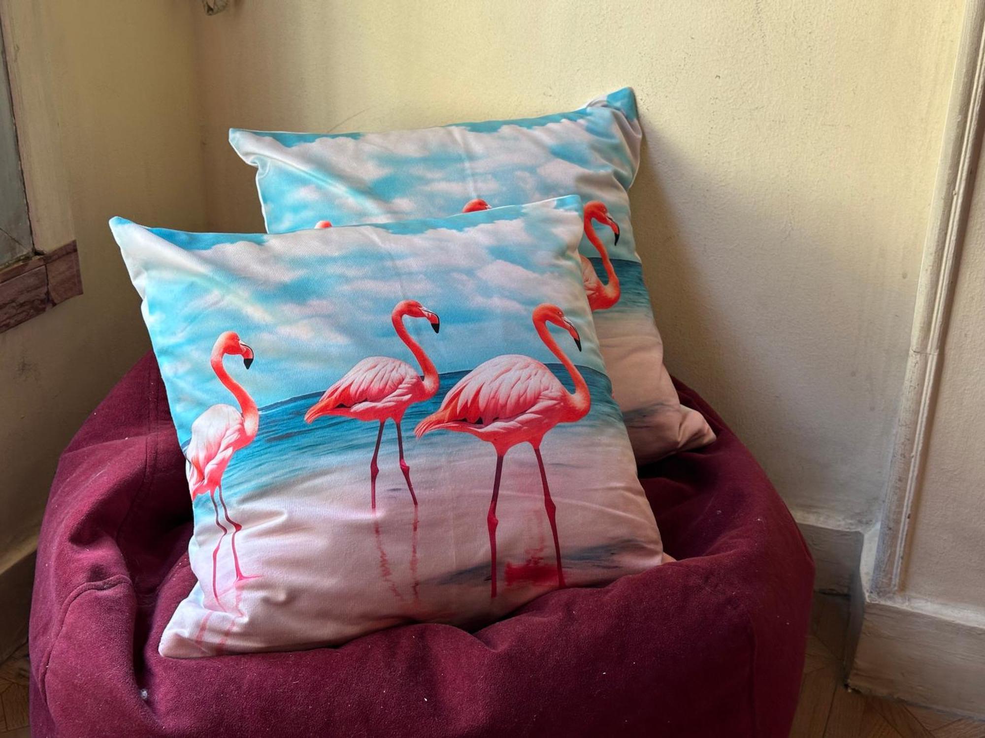 קהיר Flamingo 5 Stars Cozy Room - With Ac מראה חיצוני תמונה